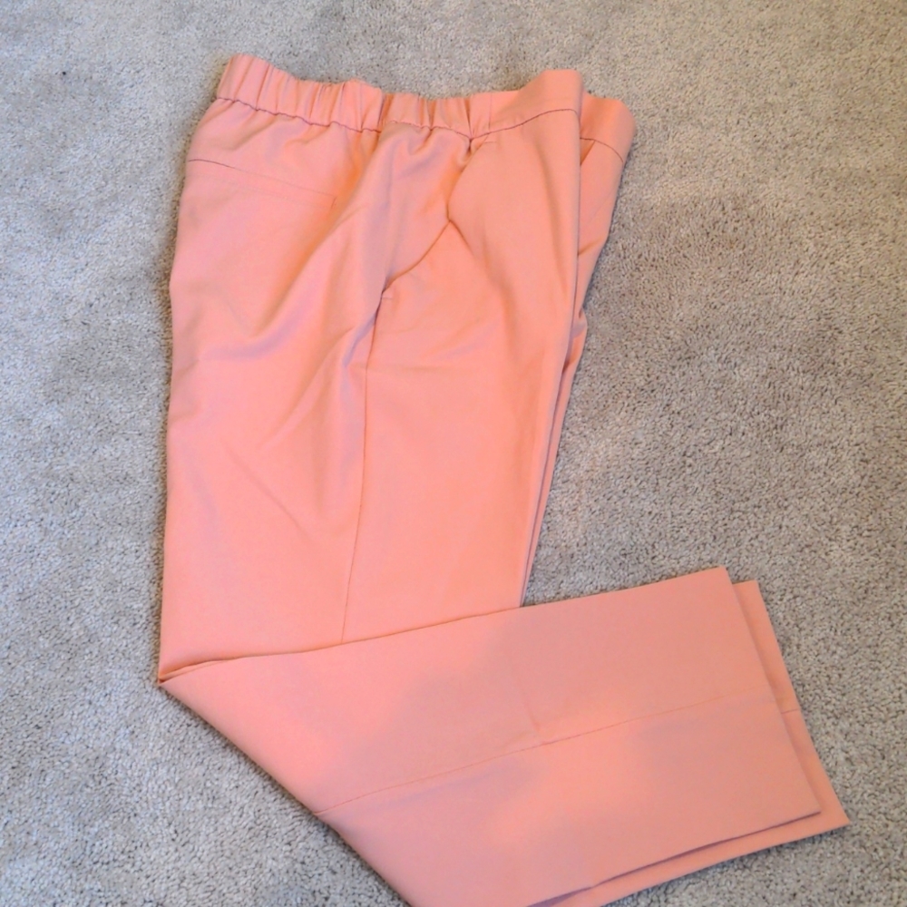 Blush colored ZARA pants